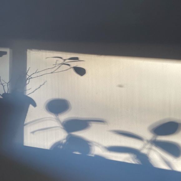 Meet your Posher, Allison - Picture 1 of 1